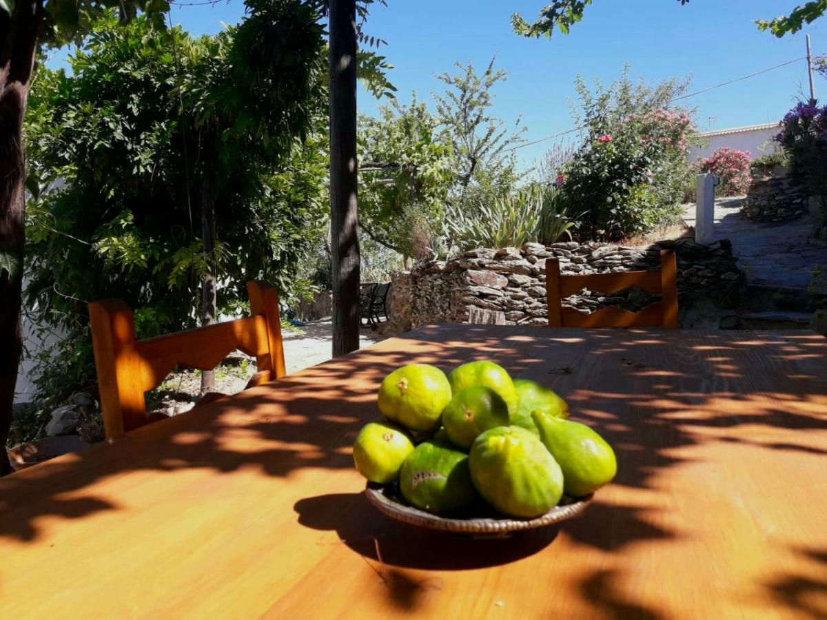 Cortijo Los Maximos Turon Eksteriør billede