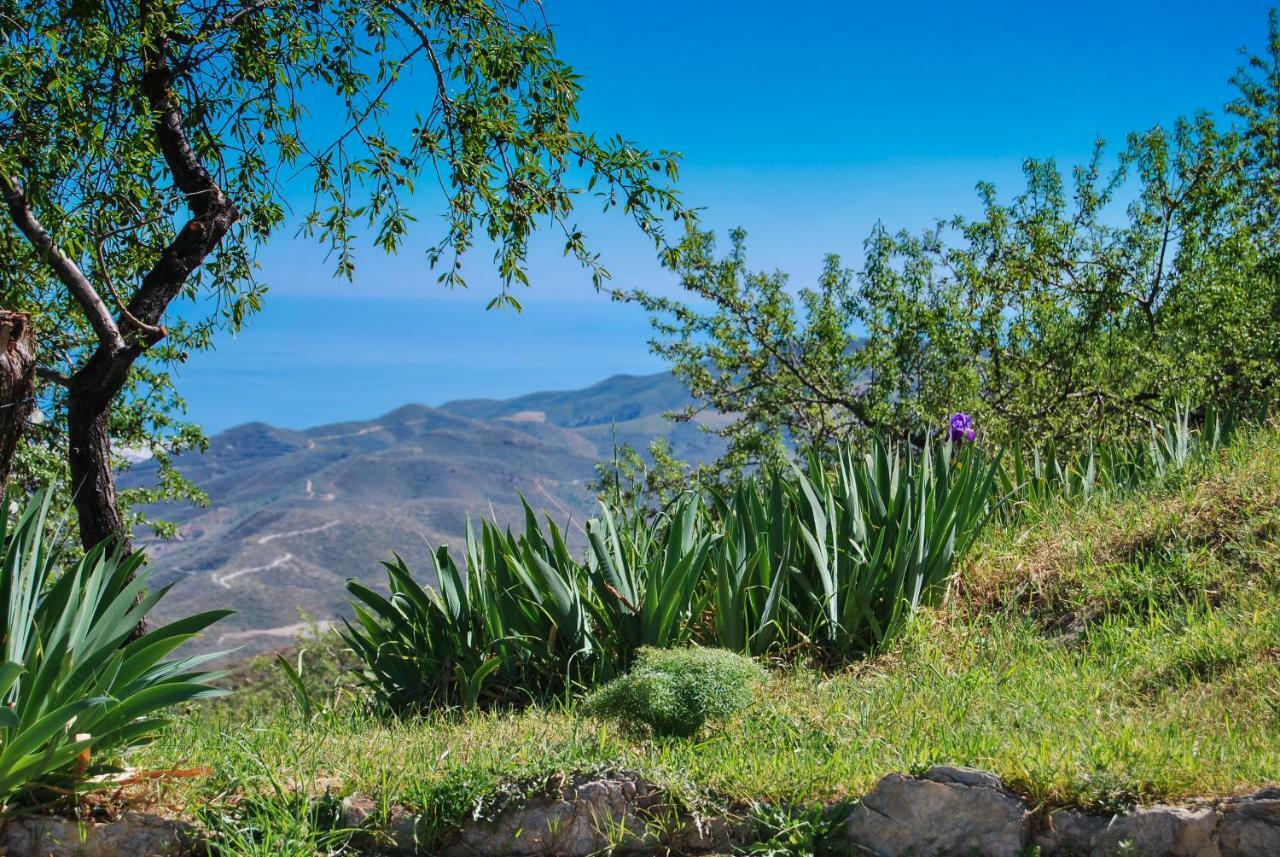 Cortijo Los Maximos Turon Eksteriør billede