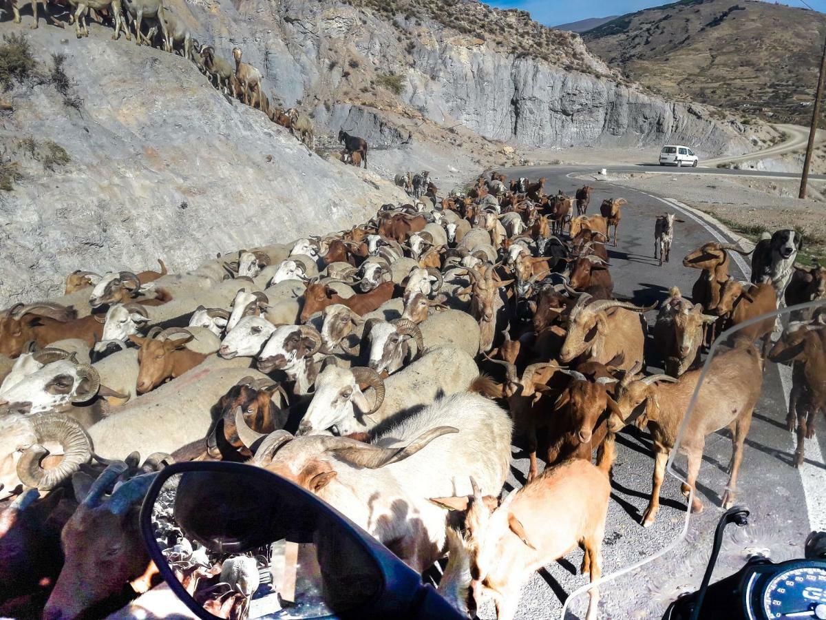 Cortijo Los Maximos Turon Eksteriør billede